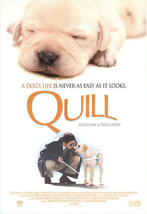 Quill - Ein Freund fürs Leben
